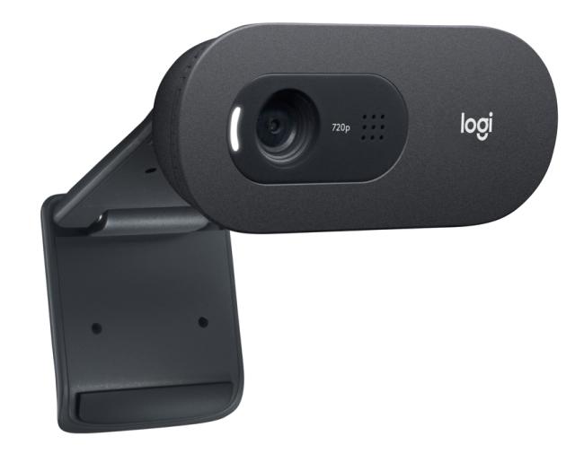 Logitech Webcam C505e Black 720p USB-A