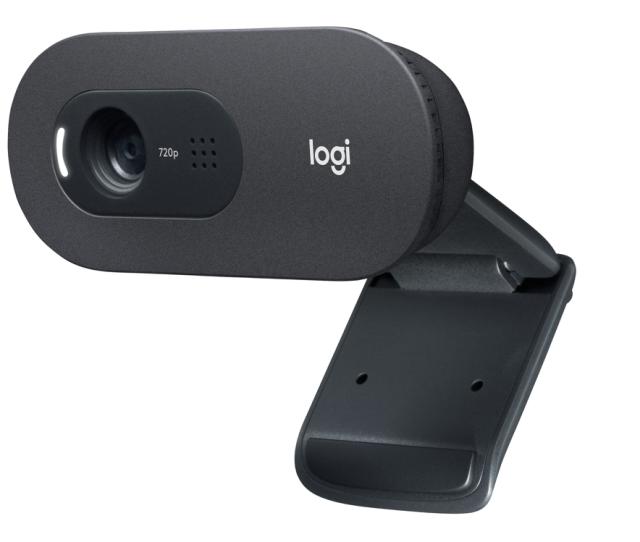 Logitech Webcam C505e Black 720p USB-A